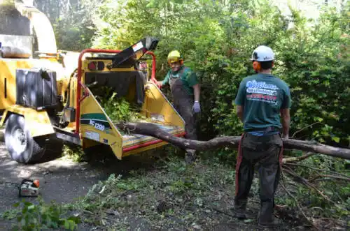 tree services Janesville